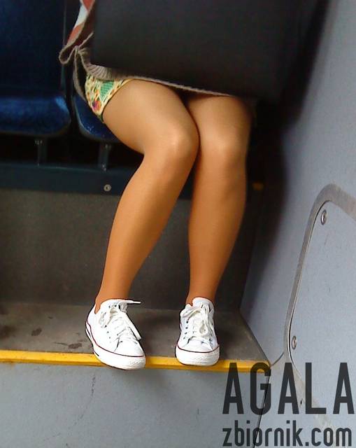 DSC05445kl.jpg - AGALA