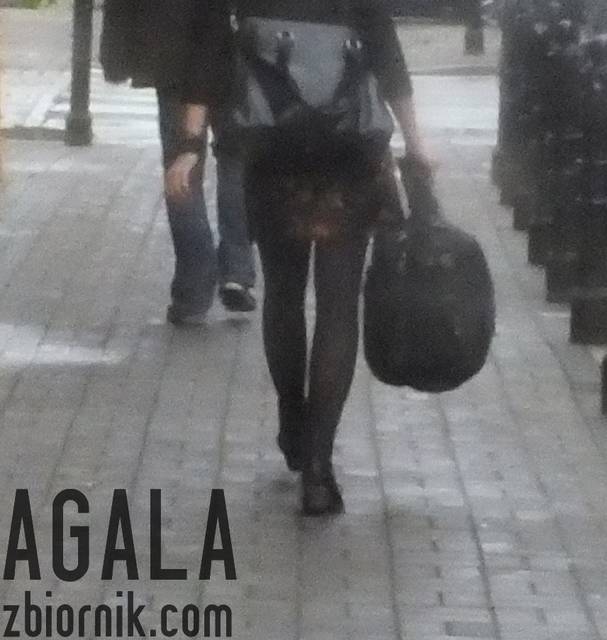 DSCF6196cz.jpg - AGALA