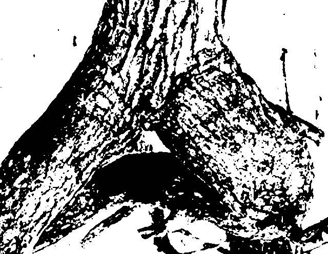 Kate1.jpg - Foto_Kate