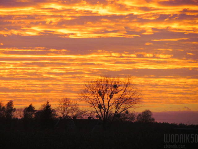 IMG_4949.JPG - wodnik50