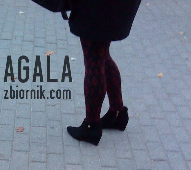 DSC05504odj.jpg - AGALA