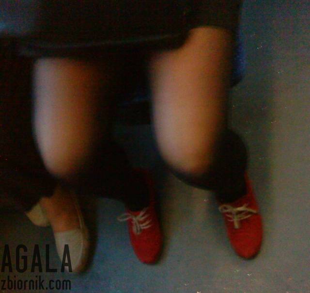 DSC05491cz.jpg - AGALA