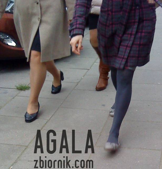 DSC05595v.jpg - AGALA