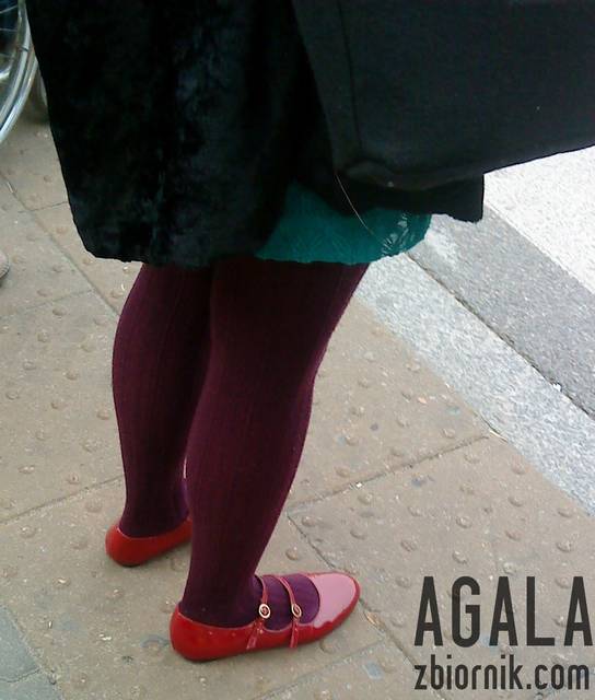 DSC05557kol.jpg - AGALA