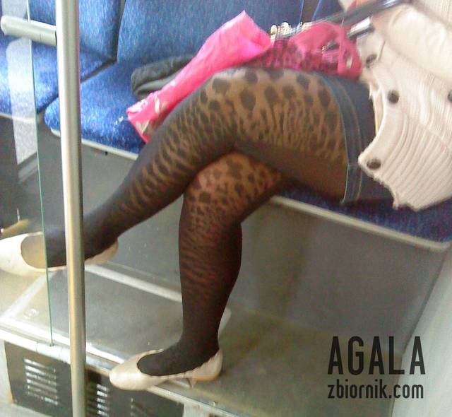 DSC05542odj.jpg - AGALA