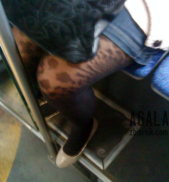 DSC05518odj.jpg - AGALA