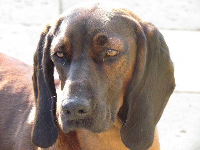 IMG_5101.JPG - wodnik50