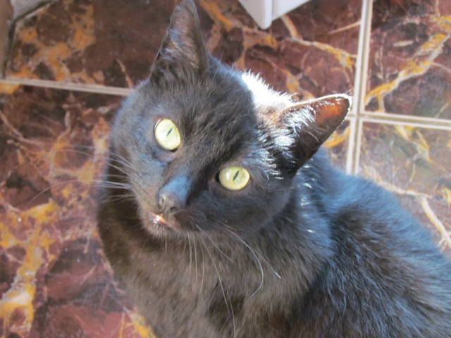 IMG_5104.JPG - wodnik50