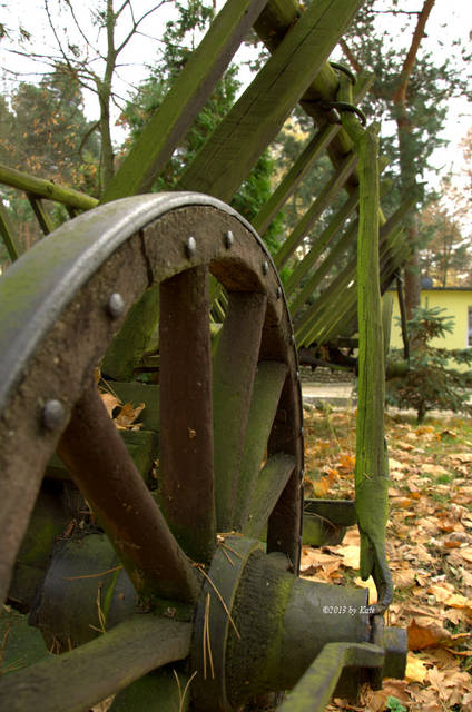 powrót do przeszłości - Foto_Kate