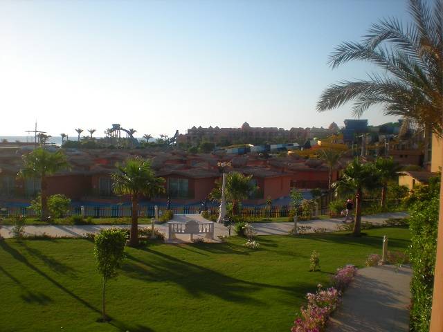 DSCN1230.JPG - tomato112291