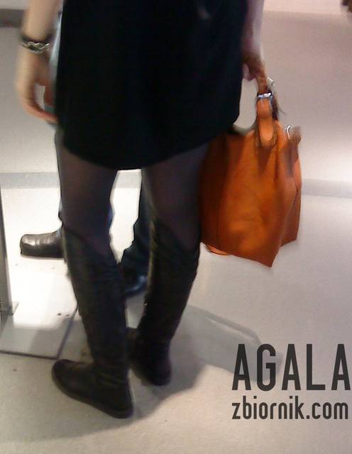 DSC05612v.jpg - AGALA