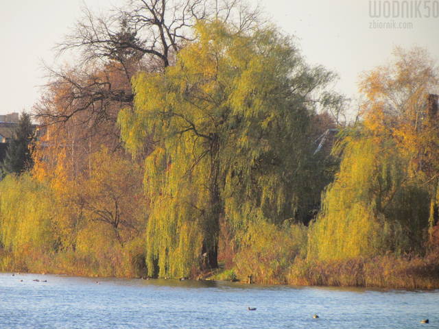 IMG_5242.JPG - wodnik50