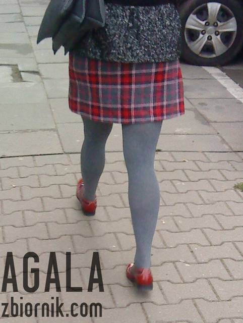 DSC05656v.jpg - AGALA