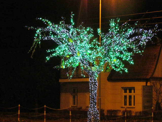 IMG_5297.JPG - wodnik50