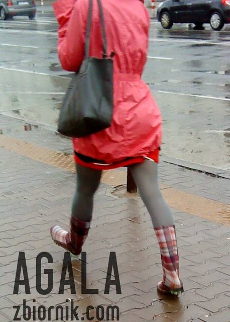 DSC05663v.jpg - AGALA