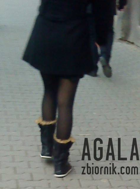 DSC05717cz.jpg - AGALA