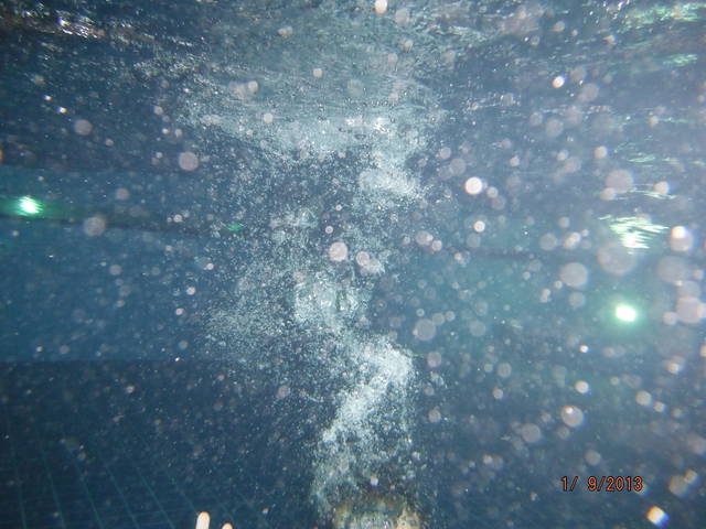 DSCF0149.JPG - wodnik50