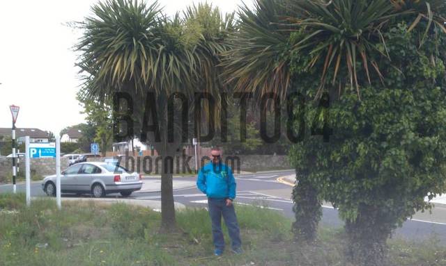 312341_1399430966944892_560815984_n.jpg - bandito84