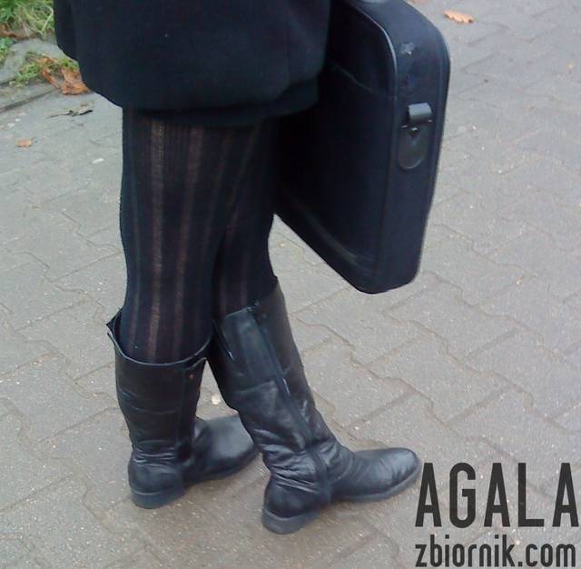 DSC05857odj.jpg - AGALA