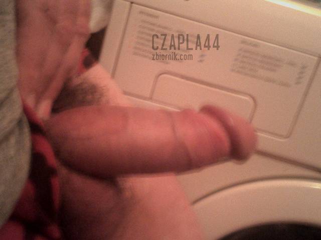 czapla44