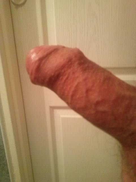 qtas.jpg - benybenasi2