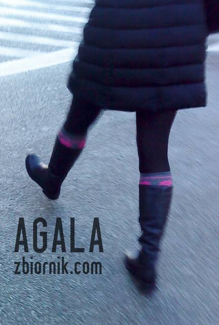 DSC05906cz.jpg - AGALA