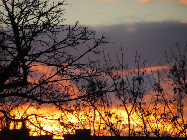 IMG_5659.JPG - wodnik50