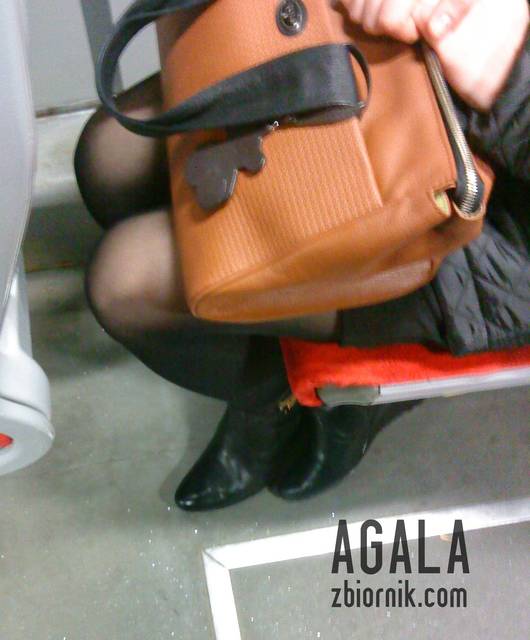 DSC05945cz.jpg - AGALA