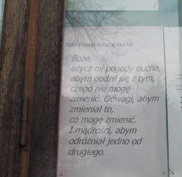 IMG_8968.JPG - wodnik50