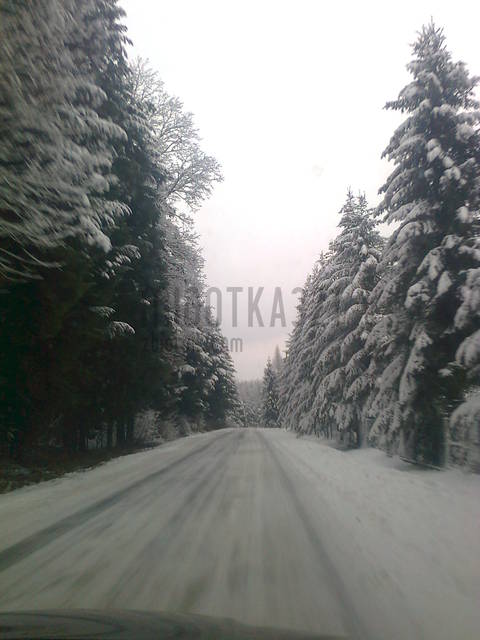 143.jpg - migotka321