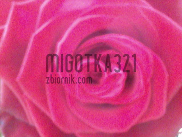 055.jpg - migotka321