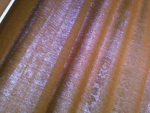 striptizer_plus