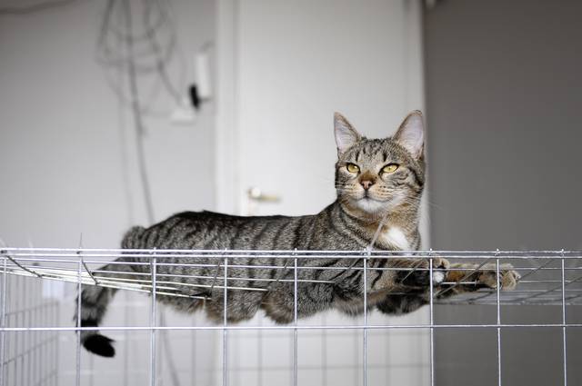 IMG_1342.JPG - pouva