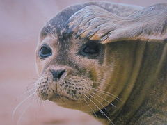 gdzie ci moi....przyjaciele:)