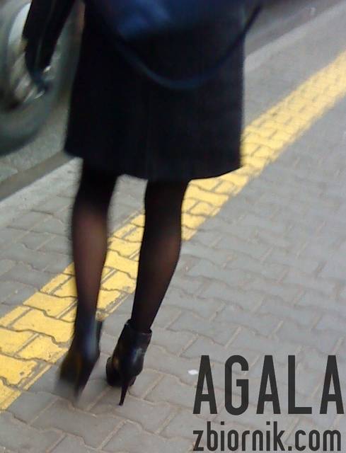 DSC05981cz.jpg - AGALA