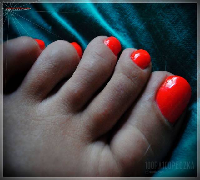 Orange 41 - 100pa100peczka