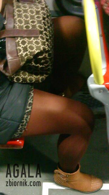 DSC06039kol.jpg - AGALA