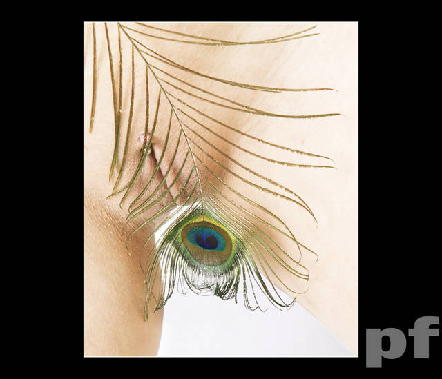 PAWIE OCZKO - panfoto