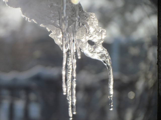 IMG_6108.JPG - wodnik50