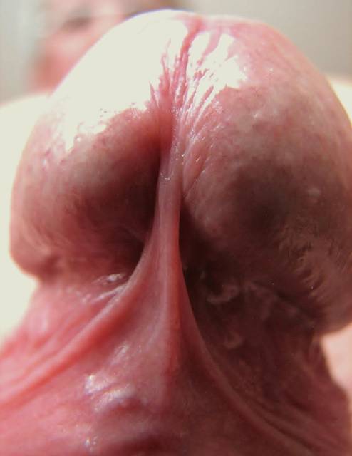 Co dwie głowy, to nie jedna  . . .  :) - dogbul_71