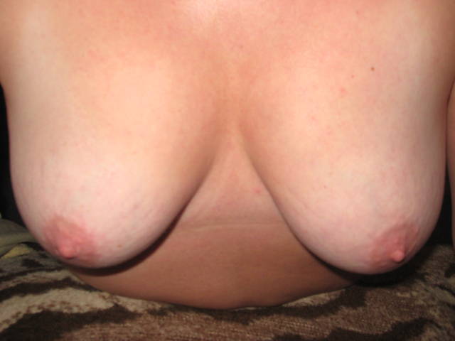 IMG_2873.JPG - dajmiewo