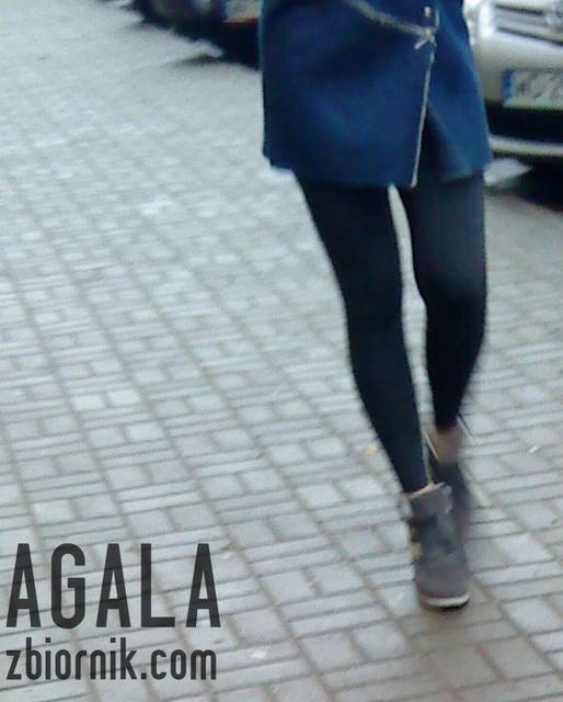 DSC06069L.jpg - AGALA