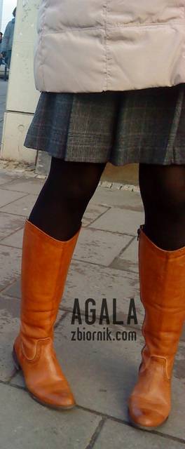 DSC06120cz.jpg - AGALA