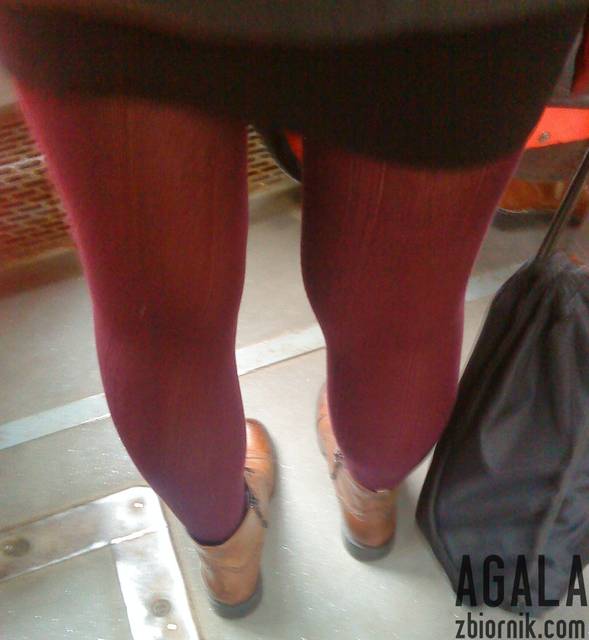 DSC06185odj.jpg - AGALA