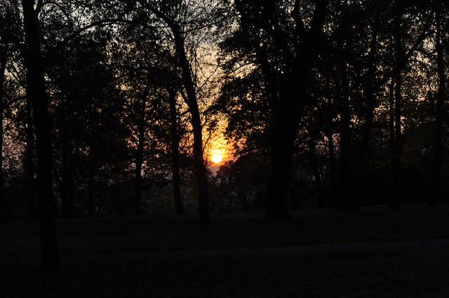 DSC_1518.JPG - arizonski