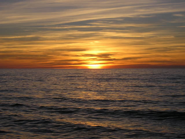 P8170934.JPG - arizonski