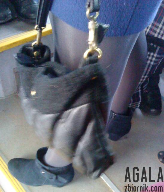 DSC06213v.jpg - AGALA