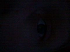 IMG_20131220_073244.jpg