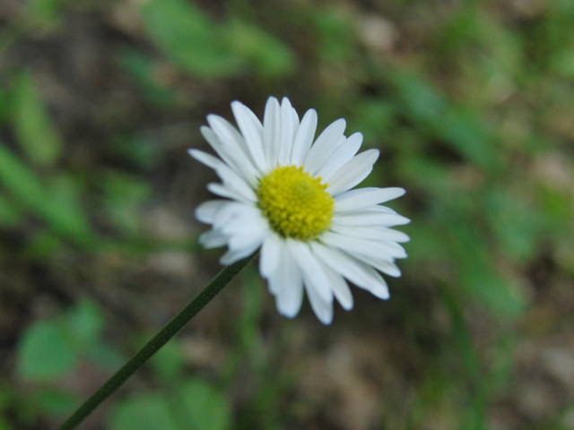 Samotnosc ? - skidrow1313