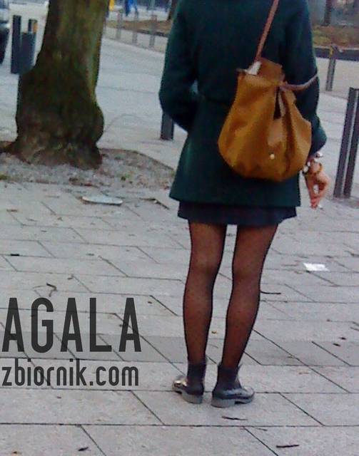 DSC06279odj.jpg - AGALA